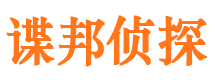 河东市侦探调查公司